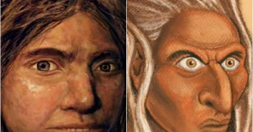 Scientists Unveil the Appearance of Our Denisovan Ancestors from 75,000 Years Ago