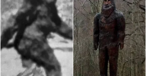 Is Bigfoot Real? Uncovering What Sightings and Evidence Reveal About This Legendary Cryptid