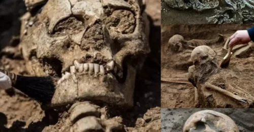 Shocking! 300 Skeletons Discovered Under Tent in Wales as Excavation Concludes!!!