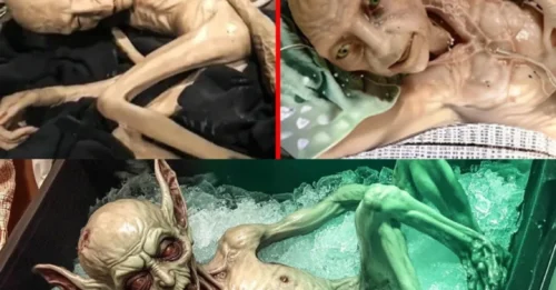 Shocking Discovery: What Was Found Frozen in Ice Stunned the Entire World!