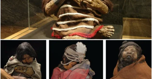 Grim Secrets Unveiled in the Death of an Inca Child