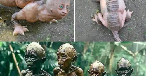 Intriguing Findings: The Spookiest Discoveries Uncovered in the Woods