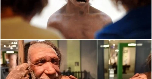 New Evidence Suggests It’s Time to Rethink Neanderthal Theories