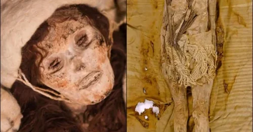Discovery of the World’s Oldest Cheese: 3,600-Year-Old Tarim Mummies in China Revealed