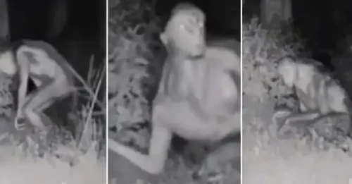 Police Investigate Las Vegas UFO Incident, Set Up Security Cameras at Home Where Aliens Landed