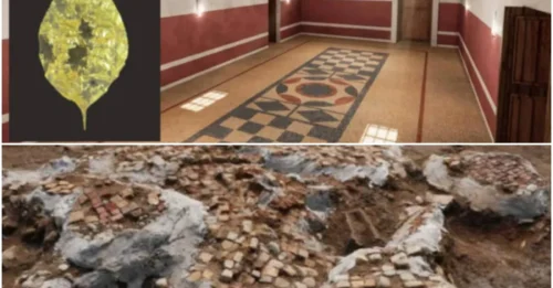 Discovery of a Golden Plaque Honoring the Military Deity Jupiter Dolichenus in Georgia
