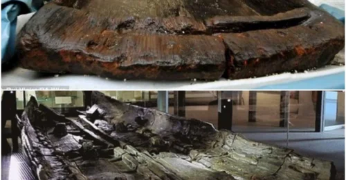 Archaeologists Unearth Eight Ancient Log Boats Dating Back 3,500 Years