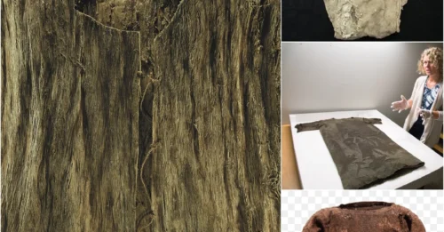 Scientists discovered ancient ao dai and shoes dating back 1,700 years, extremely well preserved under the Lendbreen glacier