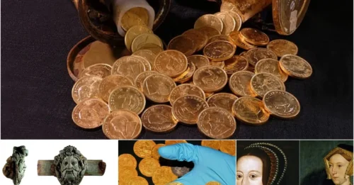 A lucky man while weeding his garden discovered a 15th-century trove of gold, dating back to the Tudor period