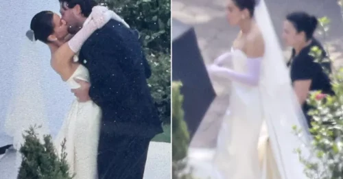 From the Field to the Altar: Josh Allen and Hailee Steinfeld Are Officially Husband and Wife – A Moment Not to Be Missed!