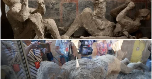 New DNA Evidence Reveals Hidden Secrets at Pompeii
