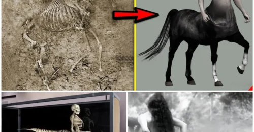 Unveiling the Secret: Discovery of Centaur Bone Remains in Greece, 1876