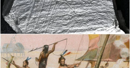 Ancient Fish Trap Engravings Unearthed: Oldest Known Depictions of Fishing at 15,800 Years Old