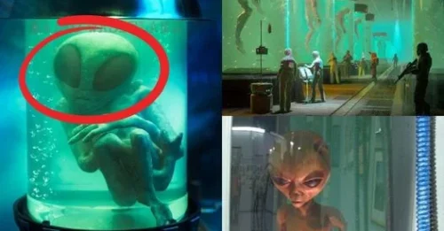 Breaking News: Researchers Uncover Hidden Secrets in Extraterrestrial Body Structures