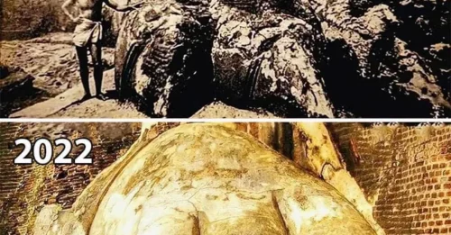 Every 3 Years, 8 Young People Are Kidnapped from a Village and Sacrificed to a Beastly Creature