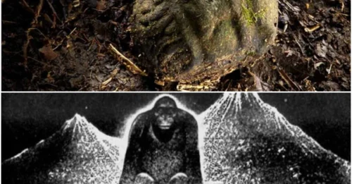 Explorers of the Lost City of the Monkey God Face Devastating Parasite Threat