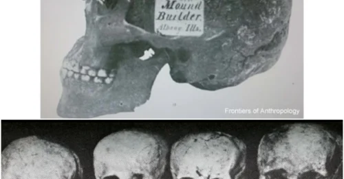 Unraveling the Mystery of the Hopewell Skulls