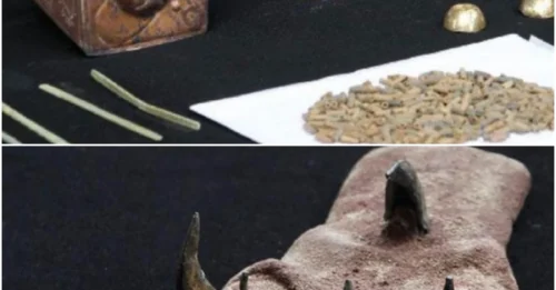 Revealing a Hidden Moche Tomb: Stunning Artifacts Unearthed by Archaeologists