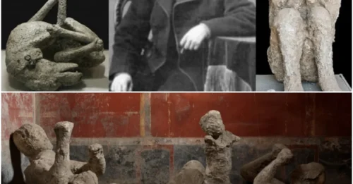 Revealing Pompeii’s Mysteries: DNA Uncovers the True Lives Preserved in Time