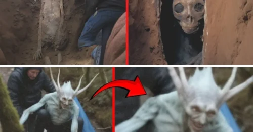 The Unsolved Mysteries That Continue to Baffle Scientists Around the World