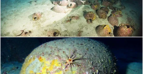 Ancient Phoenician Shipwreck, 2,700 Years Old, Found in Maltese Waters