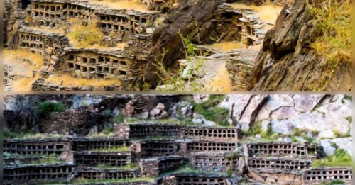 1,200 Ancient Beehives Unearthed in Al-Kharfi: A Hidden Tale of Survival and Ingenuity in Saudi Arabia’s Abandoned Village