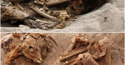 Ancient Child and Llama Sacrifice Ritual Discovered in Peru