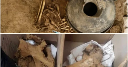 Archaeologists Unearth 3,000-Year-Old Skeletons of Nine Children in Qazvin, Iran