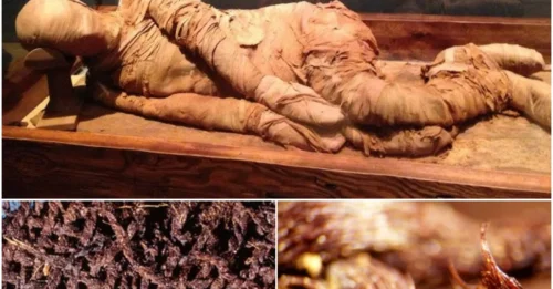 Ancient Breakthrough: Egyptians Began Mummification 6,500 Years Ago