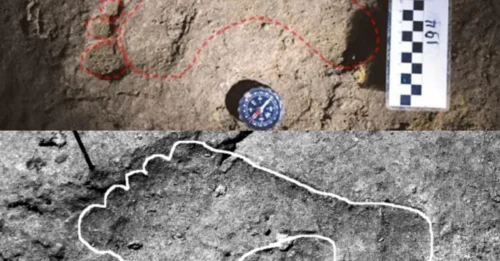 Ancient European Footprints Unearthed in Romanian Cave: Oldest Yet Confirmed by Scientists