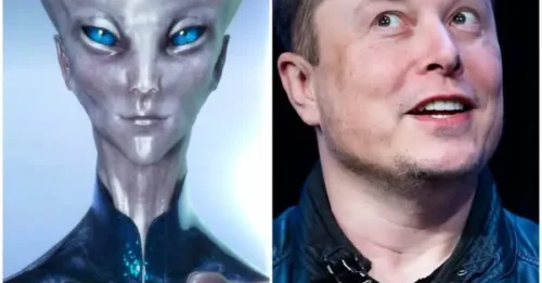 There’s Already a Rumor: Eon Musk Claims to Be a 3,000-Year-Old Alien Traveling Through Time to Return to His Home Planet?