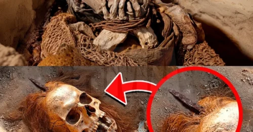 Shocking Revelations: Unraveling the Mysteries of Human History and the Past