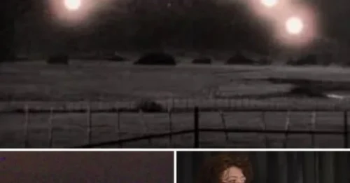Over 300 Texans witnessed a mile-long UFO silently gliding overhead—sparking claims of government cover-ups and extraterrestrial surveillance missions.