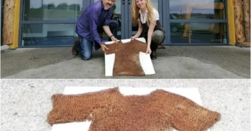 ‘Extraordinary’ 800-year-old chain mail discovered in Co Longford shed