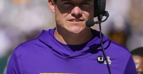 Vikings Shock Fans by Cutting Ties With Troubled Safety – What Really Happened?