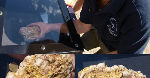 It’s a huge treasure: A young father hit the jackpot after digging up two giant gold pieces worth nearly $200,000.