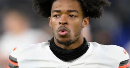 The Vikings Just 