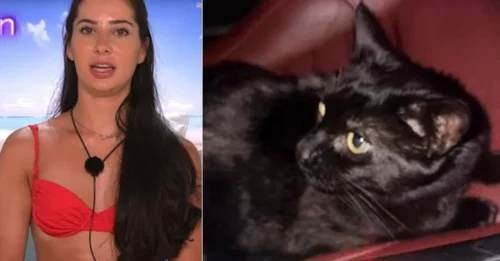 The Truth Behind Miaow Miaow’s Death – Yasmin Speaks Out for the First Time After Tragedy!