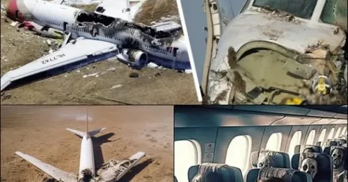 Terrifying Scene: Mysterious Plane Crash with Passengers Turned to Skeletons, an Unsettling Mystery!