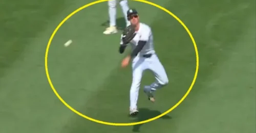 The Yankees’ “Triple Play of Comedy”: Pulling Off the Most Disastrous Blunder of the Season!