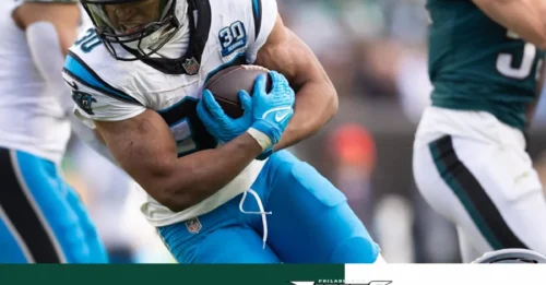NFL Landscape Shattered: Panthers Officially Exiled to the Brutal East with the Eagles and Giants