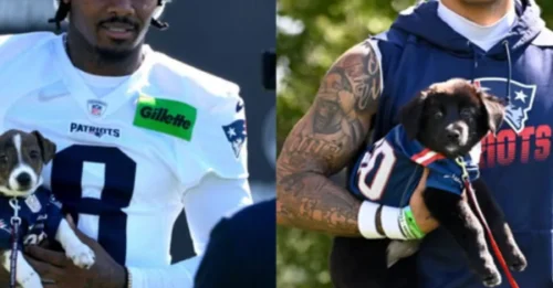 Patriots' Hopes Dashed: Devastating Update on Christian Gonzalez Emerges Amidst Stefon Diggs' Comeback Buzz.