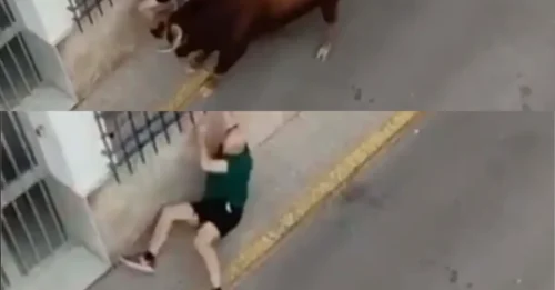 Un juerguista que hizo un momento de terror fue corneado hasta la muerte en un festival de toros español después de hacer un intento desesperado por escapar de la bestia furiosa.