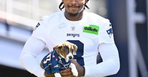 Shocking Development Emerges: Patriots' Diggs Experiment Labeled a 