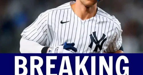 The 