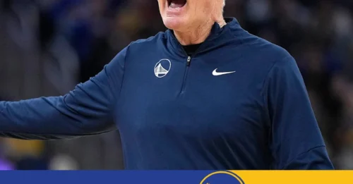 The 