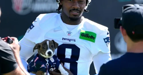 Stefon Diggs' brutal 4-word taunt at Mike Vrabel from Sideline Scamper During Kick Return TD sends the NFL world into a frenzy.