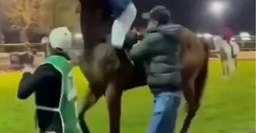 Jockey queda KO instantáneamente después de que un brutal cabezazo de su caballo lo enviara al suelo con una voltereta hacia atrás.