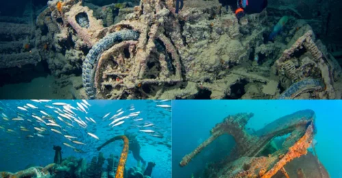 El interior del naufragio del barco británico hundido por los nazis es ahora un paraíso para los buceadores, mientras la vida marina acecha entre los jeeps y rifles en las afueras de este popular destino vacacional.