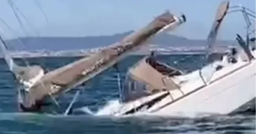 Imágenes muestran el aterrador momento en que un yate es hundido por una manada de orcas mientras expertos revelan un motivo sorprendente.